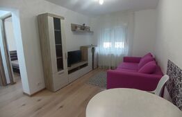 Apartament 2 camere, finisat, zona cetate