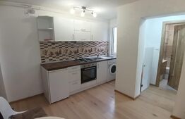 Apartament 2 camere, finisat, zona cetate