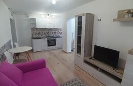 Apartament 2 camere, finisat, zona cetate