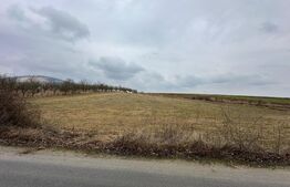 Teren extravilan, zona Geomal