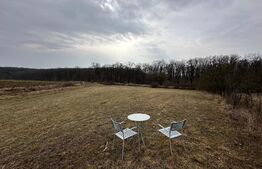 Teren extravilan, zona Geomal