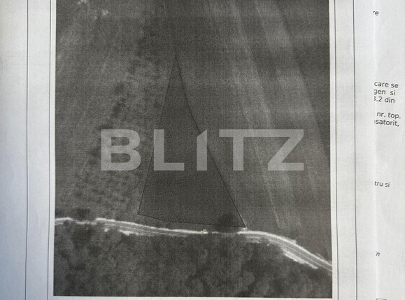 Teren de vânzare Teius - 136996TV | BLITZ Alba Iulia | Poza2