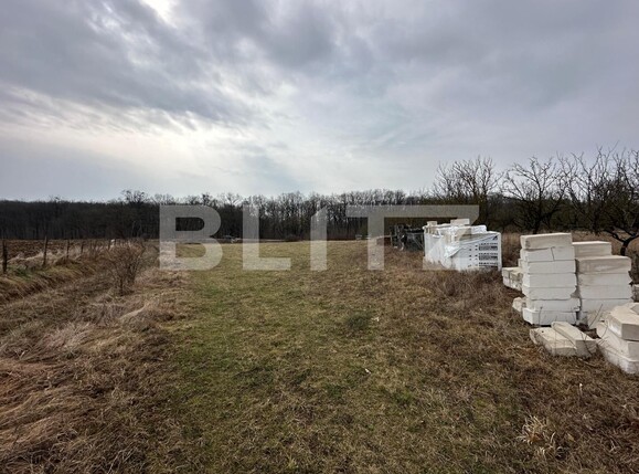 Teren de vânzare Teius - 136996TV | BLITZ Alba Iulia | Poza4