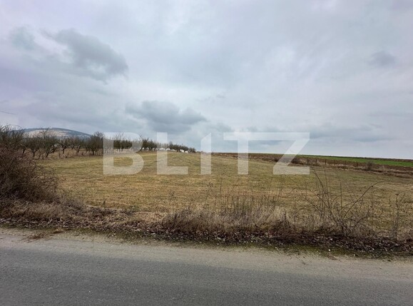 Teren de vânzare Teius - 136996TV | BLITZ Alba Iulia | Poza3