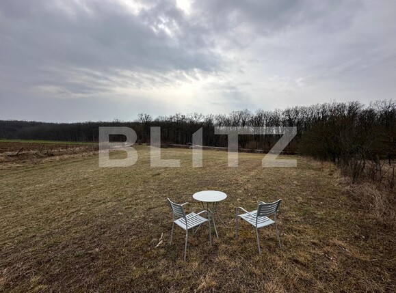 Teren de vânzare Teius - 136996TV | BLITZ Alba Iulia | Poza1