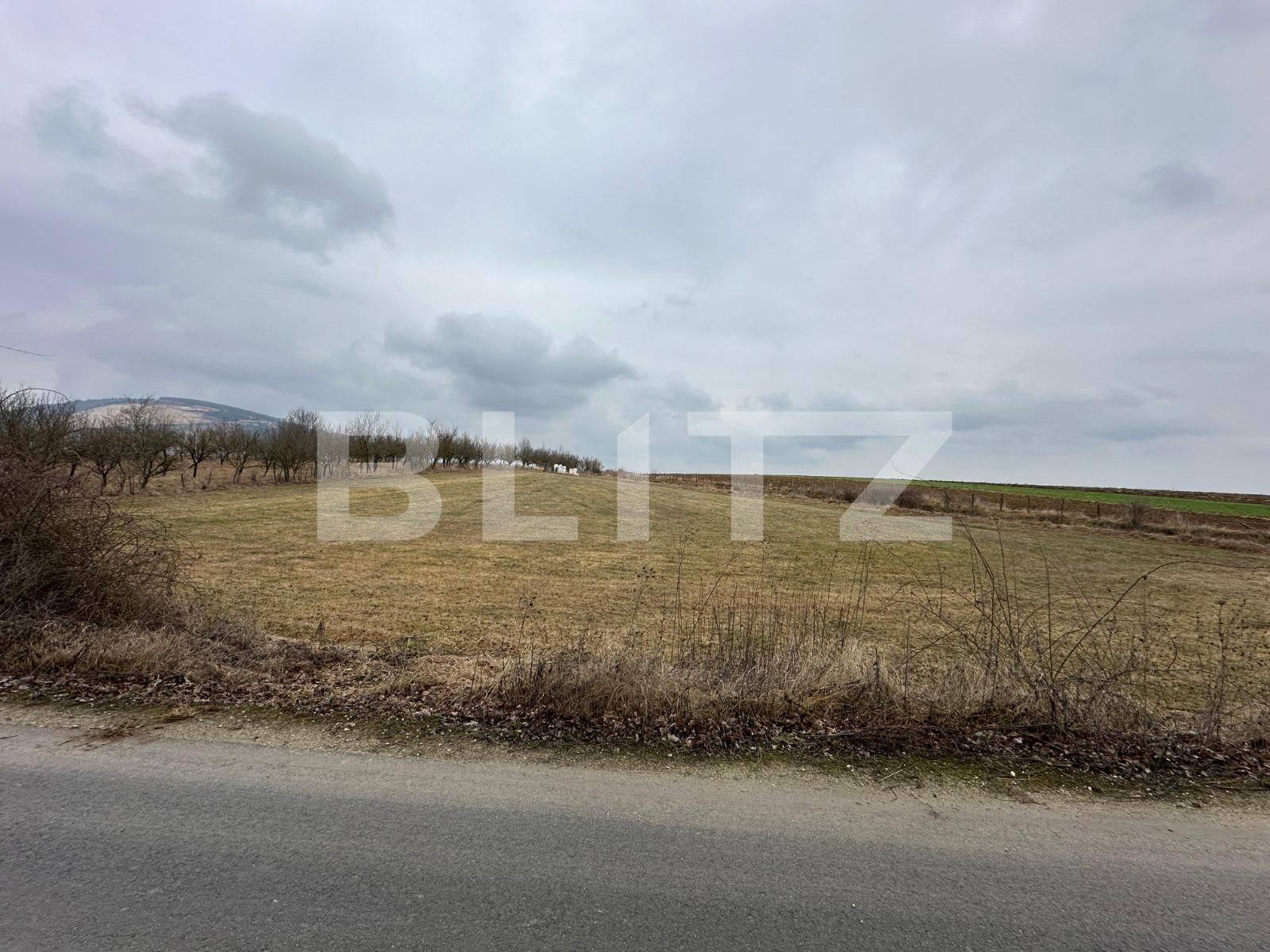 Teren de vânzare Teius - 136996TV | BLITZ Alba Iulia | Poza3