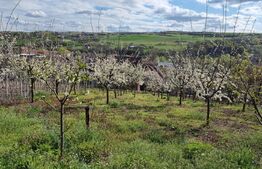 Casa de vanzare Aiud, 4 camere, 184MP