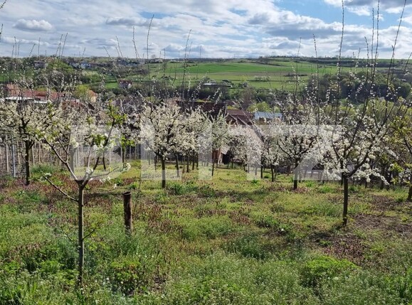 Casa de vânzare 4 camere Aiud - 137046CV | BLITZ Alba Iulia | Poza19