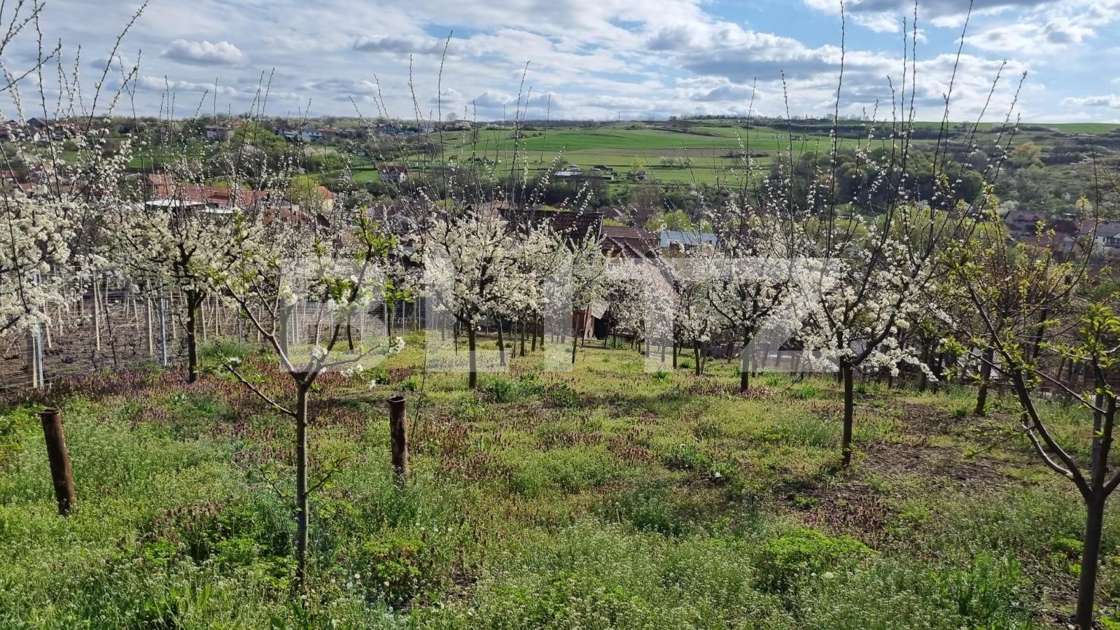 Casa de vânzare 4 camere Aiud - 137046CV | BLITZ Alba Iulia | Poza19