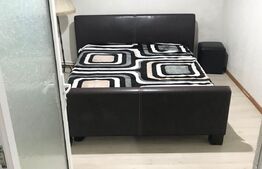 Imobil cu mult potential !