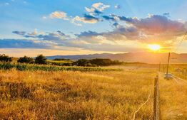 Teren intravilan 1950 mp, Oarda de Sus