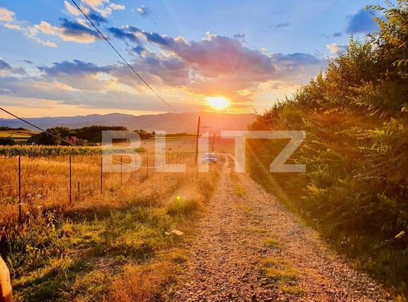 Teren de vânzare Oarda - 137369TV | BLITZ Alba Iulia | Poza1