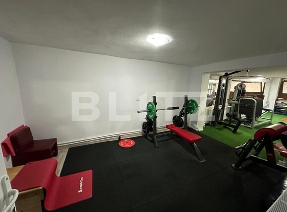 Spațiu comercial de vânzare Tolstoi - 137627SVC | BLITZ Alba Iulia | Poza3