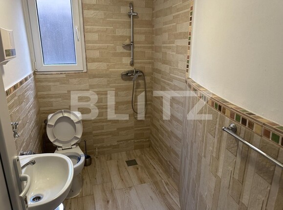 Spațiu comercial de vânzare Tolstoi - 137627SVC | BLITZ Alba Iulia | Poza5