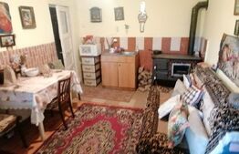 Casa doua corpuri  110 mp 4830 mp teren in Capud