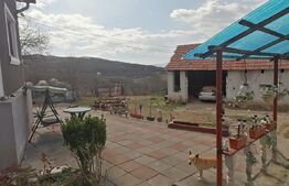 Casa doua corpuri  110 mp 4830 mp teren in Capud