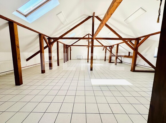 Spațiu birouri de închiriat Central - 137976SIB | BLITZ Alba Iulia | Poza2