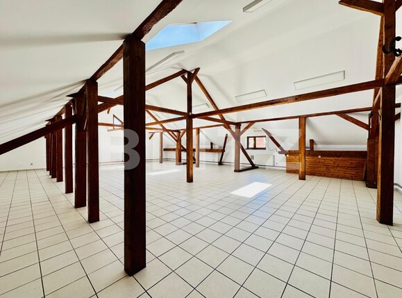 Spațiu birouri de închiriat Central - 137976SIB | BLITZ Alba Iulia | Poza1