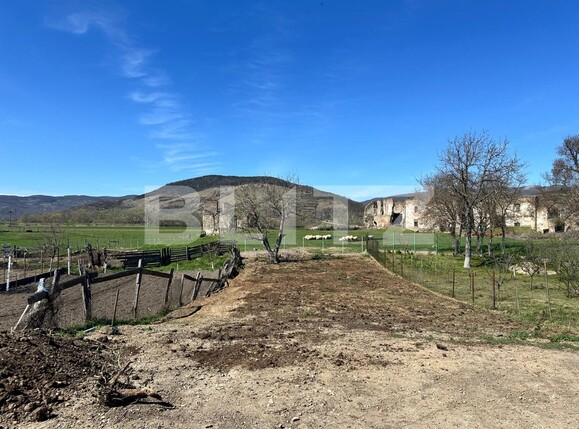 Casa de vânzare 4 camere Vinţu de Jos - 137978CV | BLITZ Alba Iulia | Poza6