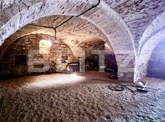 Casa de vânzare 4 camere Vinţu de Jos - 137978CV | BLITZ Alba Iulia | Poza9