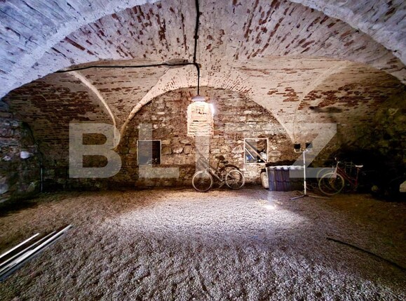 Casa de vânzare 4 camere Vinţu de Jos - 137978CV | BLITZ Alba Iulia | Poza8