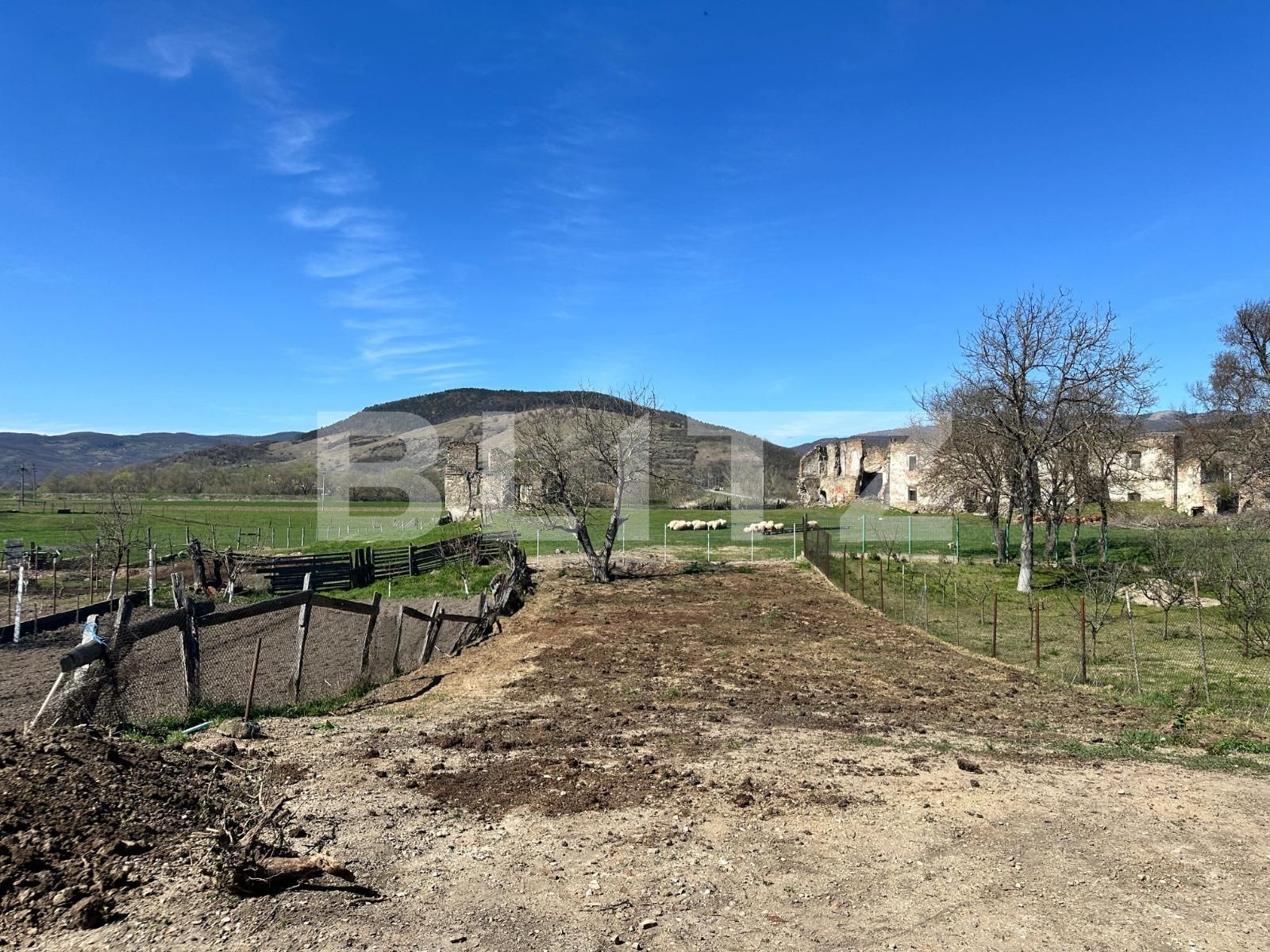 Casa de vânzare 4 camere Vinţu de Jos - 137978CV | BLITZ Alba Iulia | Poza6