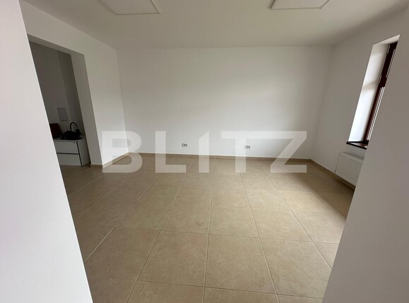 Spațiu comercial de închiriat Ampoi 2 - 138358SIC | BLITZ Alba Iulia | Poza4