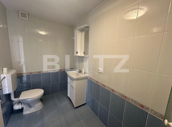 Spațiu comercial de închiriat Ampoi 2 - 138358SIC | BLITZ Alba Iulia | Poza6