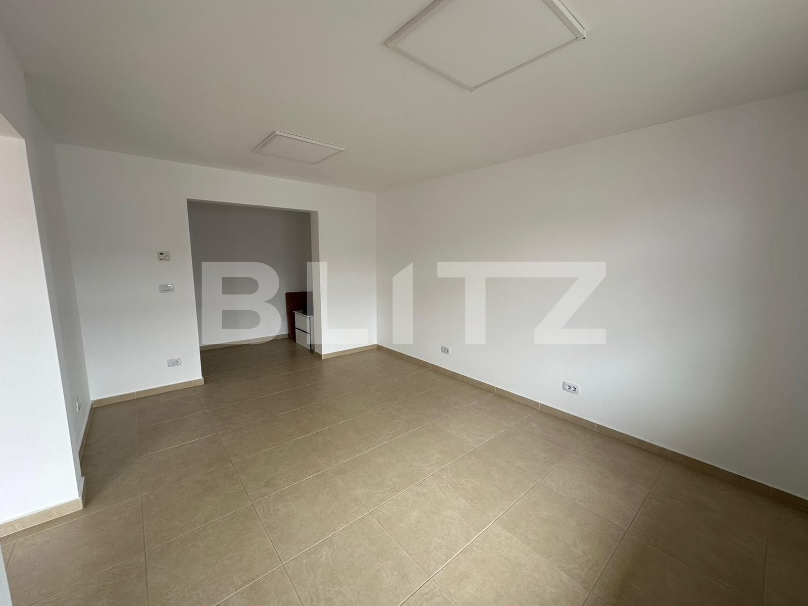 Spațiu comercial de închiriat Ampoi 2 - 138358SIC | BLITZ Alba Iulia | Poza3