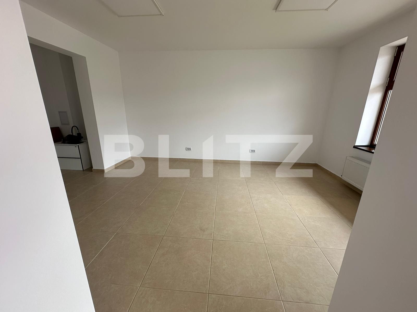 Spațiu comercial de închiriat Ampoi 2 - 138358SIC | BLITZ Alba Iulia | Poza4