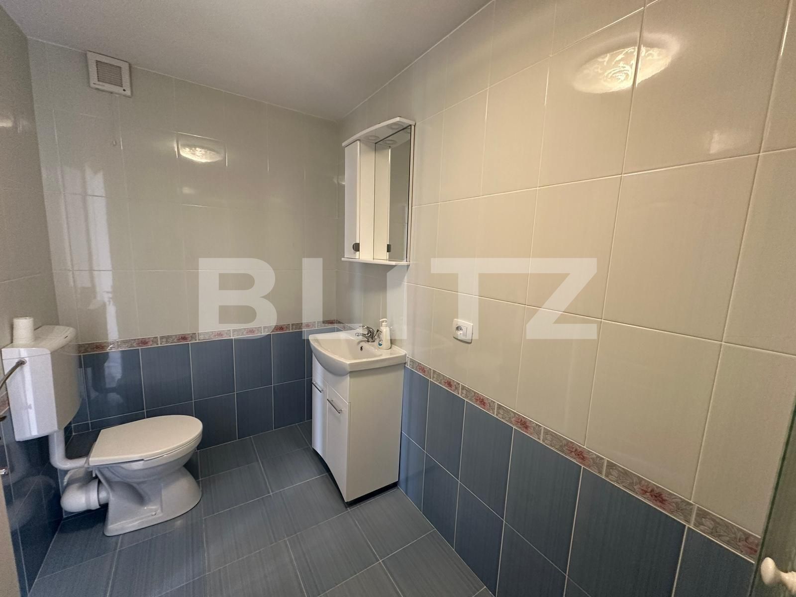 Spațiu comercial de închiriat Ampoi 2 - 138358SIC | BLITZ Alba Iulia | Poza6