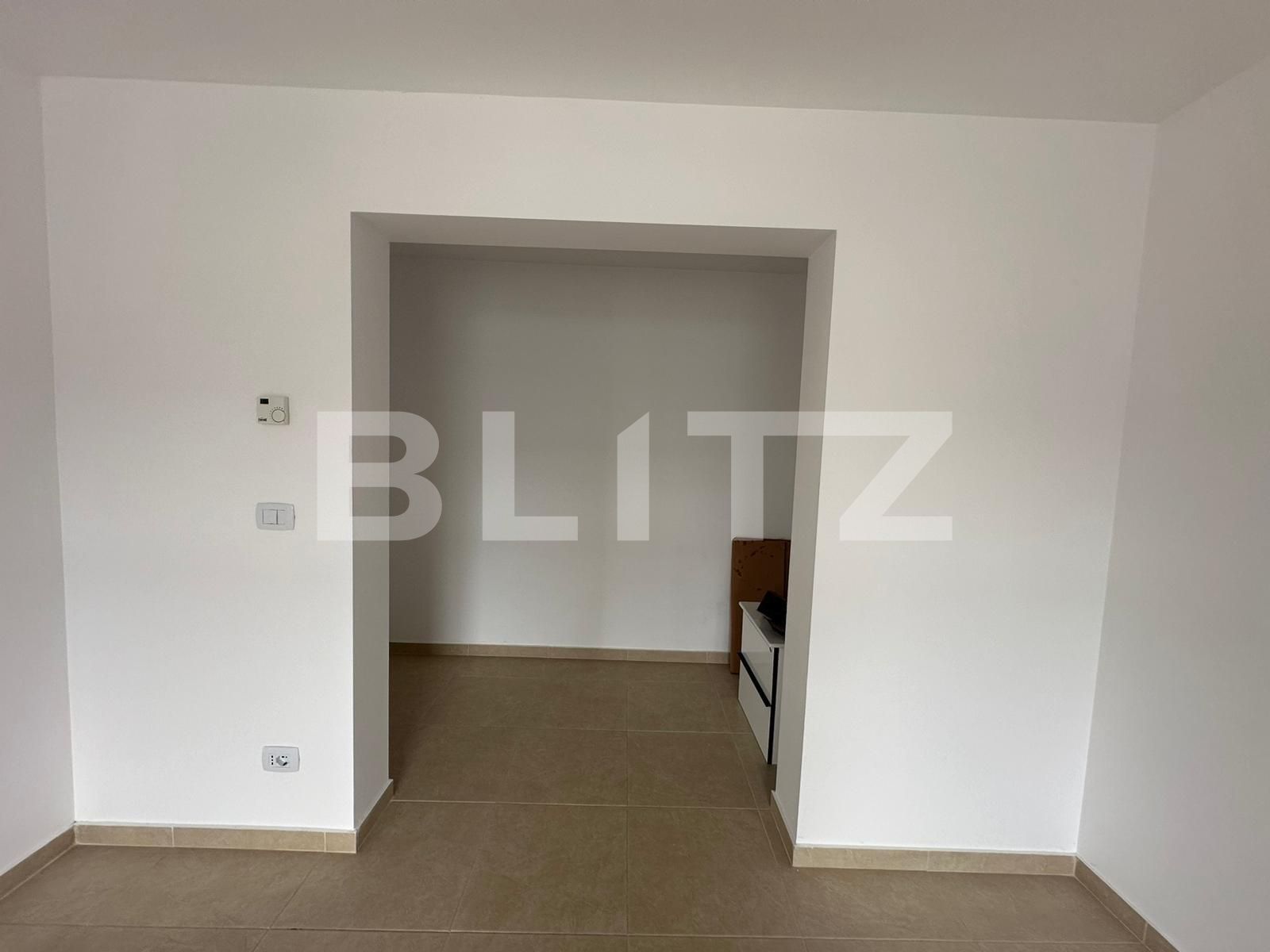 Spațiu comercial de închiriat Ampoi 2 - 138358SIC | BLITZ Alba Iulia | Poza2