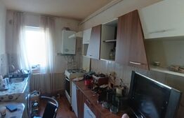 Apartament 2 camere, 46 MP, zona Cetate 