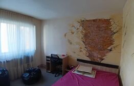 Apartament 2 camere, 46 MP, zona Cetate 