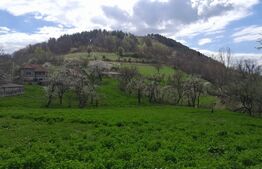 Casa individuala, 3500 mp teren, zona Vintu de Jos, Inuri