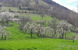 Casa individuala, 5500 mp teren, zona Vintu de Jos, Inuri