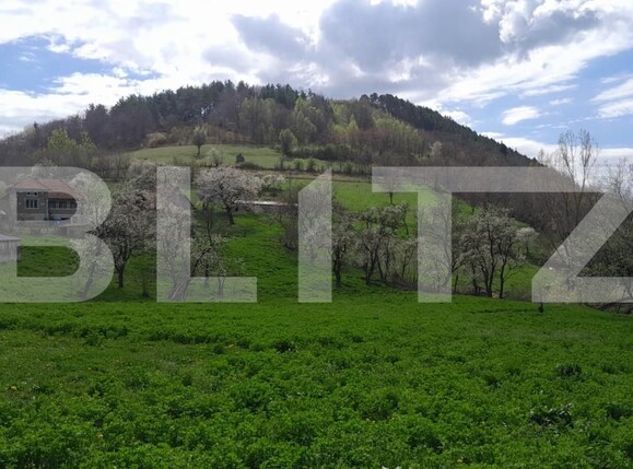 Casa de vânzare 2 camere Vinţu de Jos - 138647CV | BLITZ Alba Iulia | Poza1