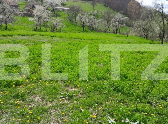 Casa de vânzare 2 camere Vinţu de Jos - 138647CV | BLITZ Alba Iulia | Poza3