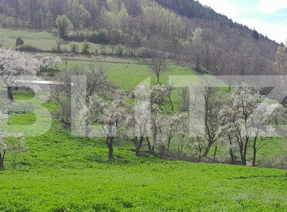 Casa de vânzare 2 camere Vinţu de Jos - 138647CV | BLITZ Alba Iulia | Poza4