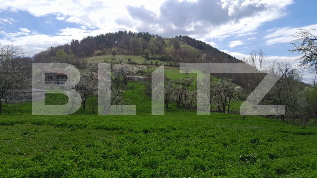 Casa de vânzare 2 camere Vinţu de Jos - 138647CV | BLITZ Alba Iulia | Poza2
