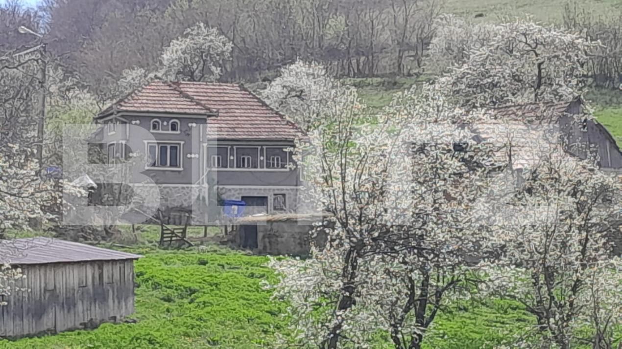 Casa de vânzare 2 camere Vinţu de Jos - 138647CV | BLITZ Alba Iulia | Poza2