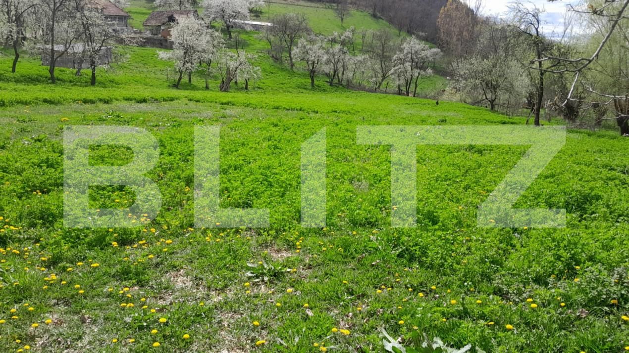 Casa de vânzare 2 camere Vinţu de Jos - 138647CV | BLITZ Alba Iulia | Poza3