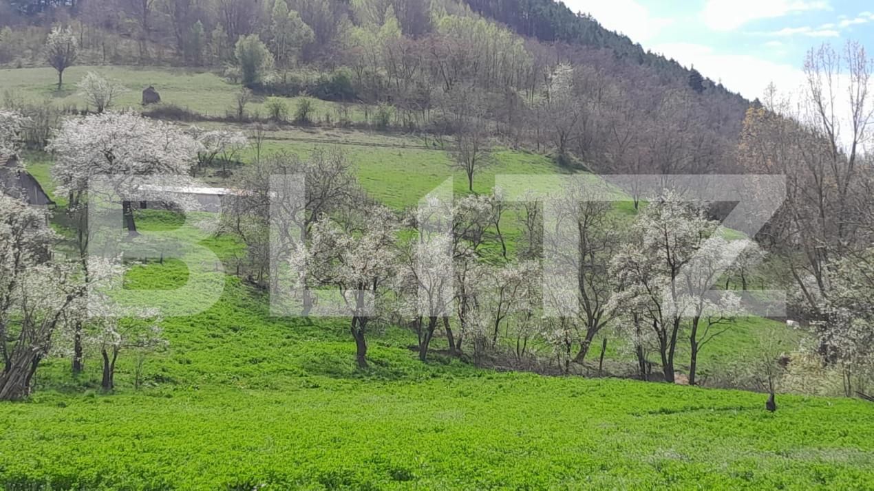 Casa de vânzare 2 camere Vinţu de Jos - 138647CV | BLITZ Alba Iulia | Poza4