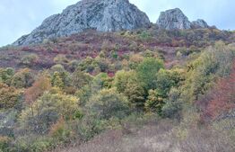 Teren extravilan 16121 mp apa si curent, ideal pentru cabane Zona Ramet