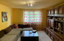 Ansamblu rezidential 540 mp + teren 3800 mp, zona Galda de Jos