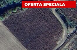 Teren extravilan cu potential ridicat, 10.000 mp, zona Blaj - Petrisat