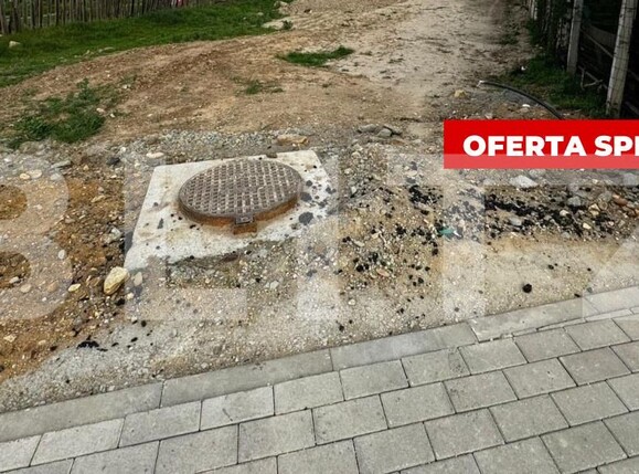 Teren de vânzare Bărăbanț - 138874TV | BLITZ Alba Iulia | Poza1