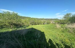 Casa individuala, 3 camere, 140 mp utili, 3400 mp teren, zona  Paclisa