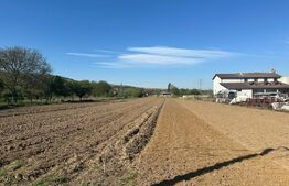 Teren extravilan, intravilan, 563 mp, zona Paclisa 