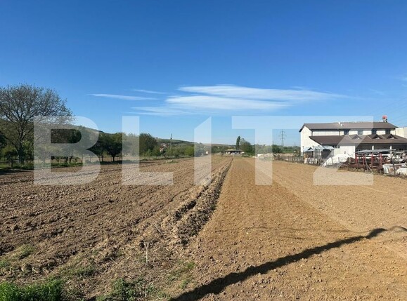 Teren de vânzare Periferie - 138934TV | BLITZ Alba Iulia | Poza1